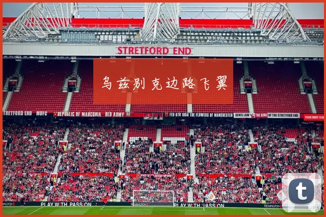 乌兹别克边路飞翼