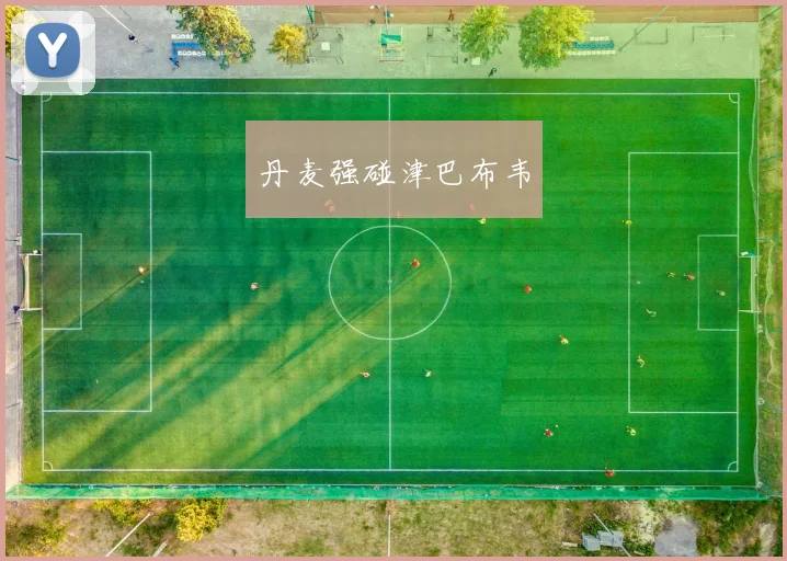 丹麦强碰津巴布韦