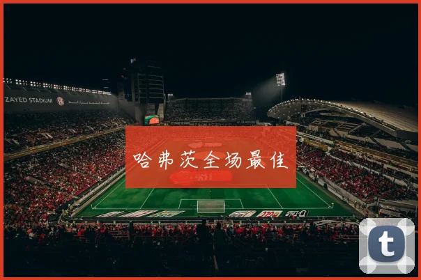 哈弗茨全场最佳