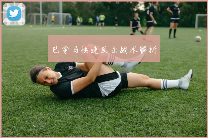 巴拿马快速反击战术解析