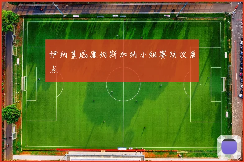 伊纳基威廉姆斯加纳小组赛助攻看点
