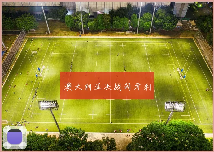 澳大利亚决战匈牙利