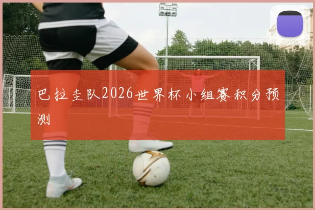 巴拉圭队2026世界杯小组赛积分预测
