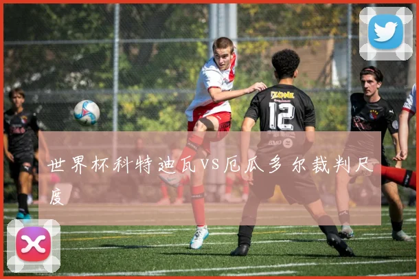 世界杯科特迪瓦vs厄瓜多尔裁判尺度